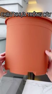 Chậu nhựa trồng cây VIETPOT màu cam trơn trồng hoa kiểng trang trí nhà ban công sân vườn