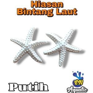 1pc Bintang laut Berkualitas Hiasan Dekorasi Aquarium Aquascape