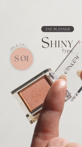 【Direct from Japan】excel Eye Planner SHINY TYPE 4 colors