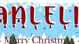 ⭐หนาแน่นที่สุด หหรา🎄รุ่นหลายแบบ ต้นคริสต์มาส (ทุกต้นมีของแถม 1 ชุด) ฐานมั่นคงมาก ขนาด90/120/150/180/210CM วัสดุ PVC เป็นมิตรกับสิ่งแวดล้อมไม่มีกลิ่น ตกแต่งคริสต์มาส วันคริสต์มาส ขนาดใหญ่ ต้นคลิสมาส ชุดต้นคริสต์มาส Christmas Tree