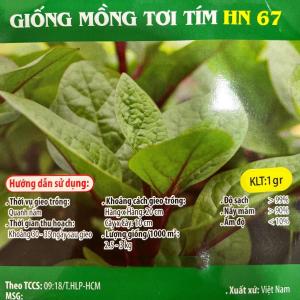 Hạt giống rau Mồng tơi xanh Lá to Mồng tơi Tím - Gói 1gr 15gr - Trồng quanh năm