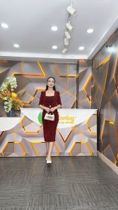 Đầm giả vest - Y1817 - Thương hiệu Zonbig