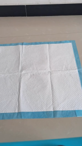 KAKU PET แผ่นรองฉี่สุนัข แผ่นรองฉี่ 2 ชั้น ต่อต้านแบคทีเรีย ซึมซับไดีดี แผ่นรองฉี่สำหรับสัตว์เลี้ยง ผิวสัมผัสดี ถาดรองฉี่สุนัข