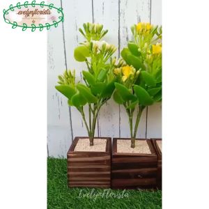 Pohon Hias Bunga Artificial Calandiva X4 Pot Kayu Dekorasi Meja Kantor
