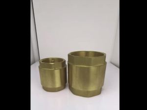 Van Kiểm Tra Nước Chống Chảy Ngược Bằng Đồng Thau Dày DN15~DN100 Ren Ống Lò Xo Xoay Dọc Có Gioăng Cao Su Chịu Áp Suất Cao