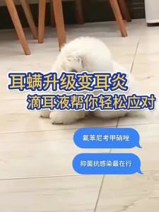 XIUZHENG | Thuốc nhỏ tai cho chó trị ve tai nhiễm trùng viêm tai nấm
