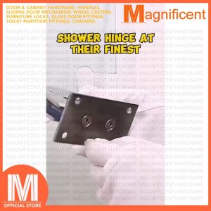 Tajima Stainless 304 Shower Hinge for Glass-to-Glass Application