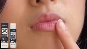 Honey Tallow Lip Balm Prevent Cracking Improve Dry Fade Fine Lines Smoothing Softening Nourishing Hydrating Repairing Lip Stick