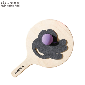 Homeaire Cat Toy Interactive Teaser Stick Toys for Kittens Chew Resistant Fun Pet Supplies Intelligent Functionality