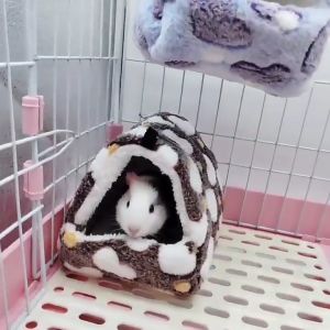 Animal KOKO 🧸 รังขนมปังน่านอน 🧸 บ้านชูการ์ไกลเดอร์ บ้านหนูตะเภา บ้านเม่น บ้านแฮมสเตอร์ บ้านกระต่าย บ้านชินชิลล่า