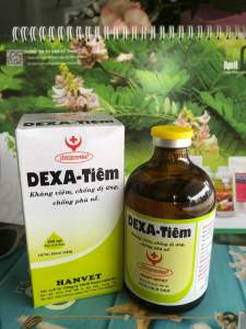 DEXA TIÊM hanvet (100ml) kháng viêm chống dị ứng chống phù nề