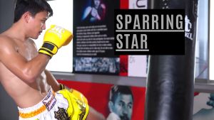 🇹🇭 New MMA04 (หนังแท้/04) MMA ลายพราง ถุงมือกำได้ นวมต่อยมวย MMA นวมเอ็มเอ็มเอ /Camou series Premium genuine leather Boxing MMA / Mongkolthaiboxing / Leather MMA