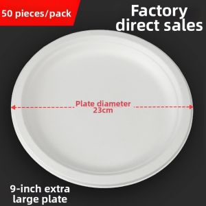 Disposable Thick DIY Kindergarten Painting Paper Plate