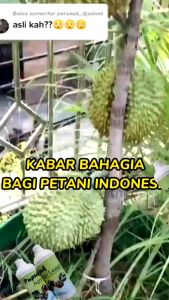 Pupuk Agro Lestari kemasan 1 Liter pupuk organik untuk pertumbuhan dan pembesaran tanaman