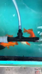 Venturi Oksigen Kolam Koi JET Venturi Injector Koi - 1 Inch Filter
