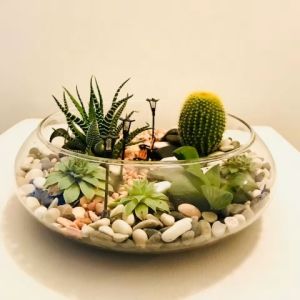 Bể Thuỷ Tinh - Chậu Nuôi Cá Trông Cây Bonsai Để Bàn BS02 Glass Contaier Φ 17Cm