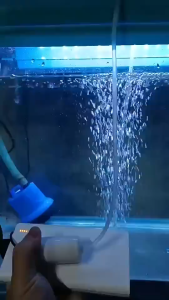 ตัวกรองแขวน  เครื่องกรองน้ำในพิพิธภัณฑ์สัตว์น้ำ  เครื่องกรองน้ำ  เครื่องกรองน้ำ  เครื่องกรองน้ำ  เครื่องกรองน้ำ  เครื่องกรองน้ำ