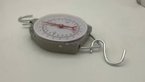 High-Quality Durable Hanging Scale 25kg/50kg/100kg/150kg/200kg with Free Pair of Hooks for Kitchen Weighing