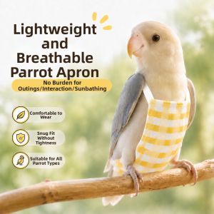 Hadassah | Bird Diaper and Flight Vest Leash
