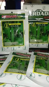 Benih Oyong NILAM isi 20 gr SERDADU SEED