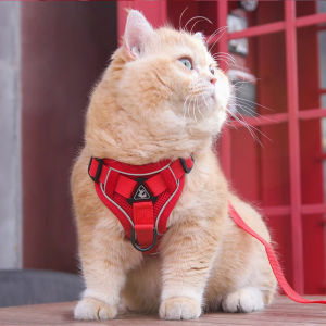 VOA | Anti-Escape Non-Choking Cat Harness Leash