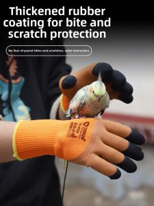 Terrain Kun | Bite Proof Scratch Resistant Warm Pet Training Gloves