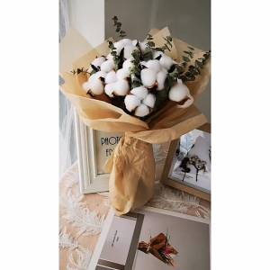 CÀNH HOA BÔNG GÒN KHÔ PHỤ KIỆN DECOR CHỤP ẢNH CẮM BÌNH HOA LÀM VÒNG HOA TRANG TRÍ NOEL NHÀ CỬA TẾT GIÁNG SINH SẴN HCM