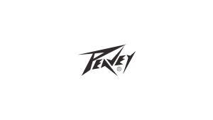 PEAVEY PV231 EQUALIZER DUAL 31-BAND EQ 12dB CUT AND GAIN-VARIABLE LOW AND HIGH-CUT FILTER INTERNAL POWER SUPPLY BALANCED XLR INPUT AND OUTPU