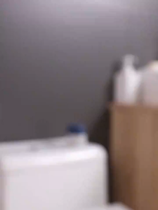 【Sg In Stock】Toilet Cleaner Toilet Bowl Freshener Toilet Cleaner Cleaning Gel Freshener Can Last  Deodorizing Perfume