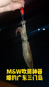 Rường câu mực M&W SX-1/SX-2 – phát sáng/UV ban đêm siêu thu hút lưỡi ô dù siêu bén nhỏ gọn dễ mang theo. Dài 4–5cm nặng 1.7g–2.2g phù hợp câu thuyền biển săn mực đêm chuyên nghiệp.