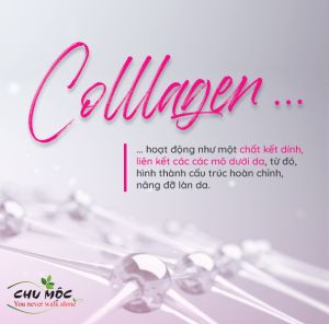 Nano Collagen/Collagen Peptides dạng bột - Korea