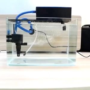 TOP FILTER AQUARIUM BOX FILTER PEMBERSIH AQUARIUM AQUASCAPE LENGKAP