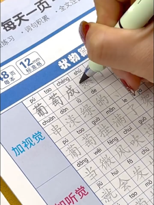 扩句法 五感法 作文练字帖 练字帖 华文华语 一句话日记 满分作文 扩句法练字帖 五感法练字帖 看图写话作文 Chinese Writing Book Practice