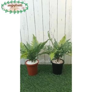 Pohon Artificial Pakis Mini Latex Pot Yogaf Hitam & Cokelat Dekorasi Caffe Aesthetic