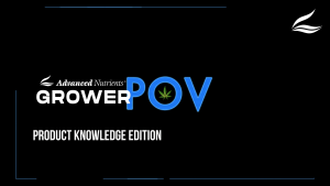 🔥ของแท้ ซีลจากโรงงาน🔥 Advanced Nutrients Big Bud Liquid (250ml/500ml)  | ตัวเร่งดอก เพิ่มขนาด กลิ่น และผลผลิตสูงสุด