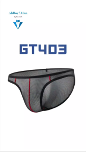 Mens Brief : Nylon Ice Silk Mesh Brief with Contour Lines (GTOPX GT403)