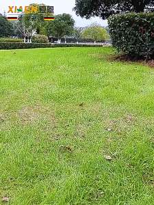 Water Hose Garden Hose Garden Hose Reel Set Water Systems Garden Hoses Multifunctional Water  Watering Storage