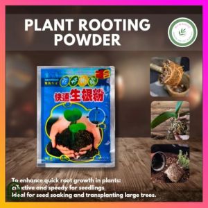 SeedsPLAZA™ - Fast Rooting Powder Hormone (1 Pack) Rooting Powder for All Types of Plants - Rooting Powder Rapid Growth