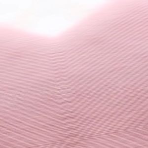 Sikat Pembersih Bulu Hewan Pada Pakaian - PR0007