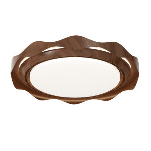 DGY | Vintage French Leafless Fan Light