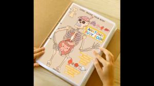 Bộ học liệu bóc dán montessori Khám phá giải phẫu cơ thể Anatomy Busy Book