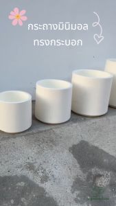 🚚ส่งจากไทย🚀กระถางมินิมอล ทรงกระบอก สีขาว ทำจากพลาสติกอย่างหนา🌻ใช้ปลูกต้นไม้/ดอกไม้🌻ใช้ตกแต่งได้ทั้งภายใน และภายนอก