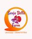 Senja Betta Farm