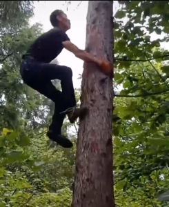 【ของพร้อมส่ง】Tree Climbing ที่ปีนต้นไม้ อุปกรณ์ปีนต้นไม้ อุปกรณ์ปีนต้นไม้ เครื่องมือปีนต้นไม้หนา แบบพกพา อุปกรณ์ปีนต้นไม้ ที่ปีนต้นไม้ ปีนต้นไม้ เครื่องมือปีนต้นไม้เสาปีนเขาแหลมสำหรับการล่าสัตว์การสังเกตุการณ์