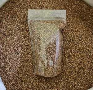 Ketumbar Hitam Herbal Organik