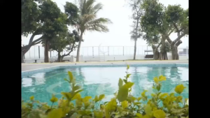 Swimming Pool Skimmer Net Set: A Comprehensive Guide