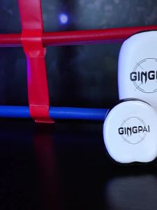 GINGPAI | Parent-Child Boxing Training Kit
