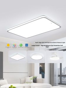 FSL | Full Spectrum Ceiling Light New 2026 Model