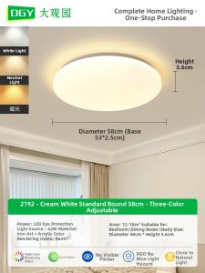 DGY | Creamy Nordic Minimalist Round Ceiling Light
