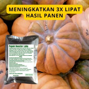 Pupuk Booster Labu / Obat Booster Labu / Pupuk Booster Labu / Pupuk Labu